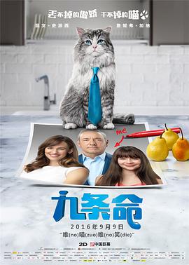 久久99亚洲精品久久频